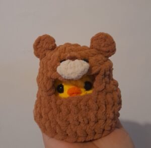 20250902_162825 Disfraz de Oso para Pollito