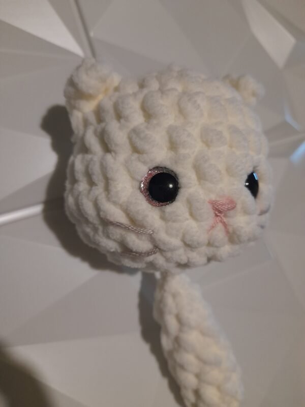 Gato Cola Suelta Ojo Especial